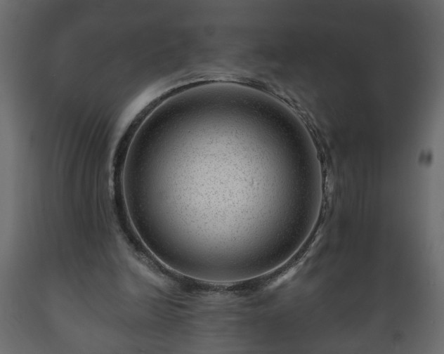 X0000089910246200707061004