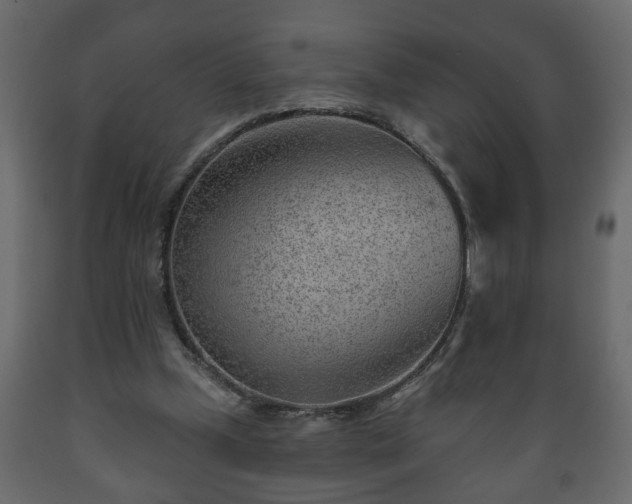 X0000089910249200707061005