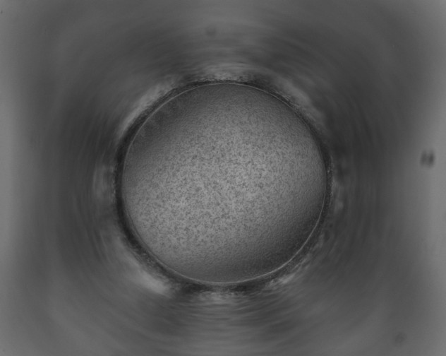 X0000089910250200707061005