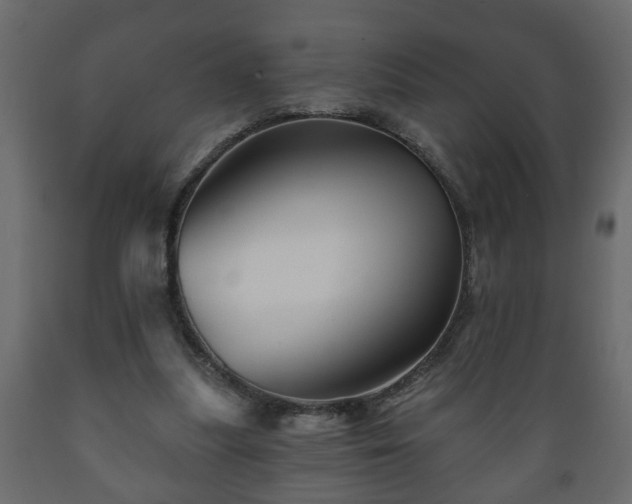 X0000089910251200707061005
