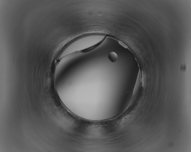 X0000089910252200707061005