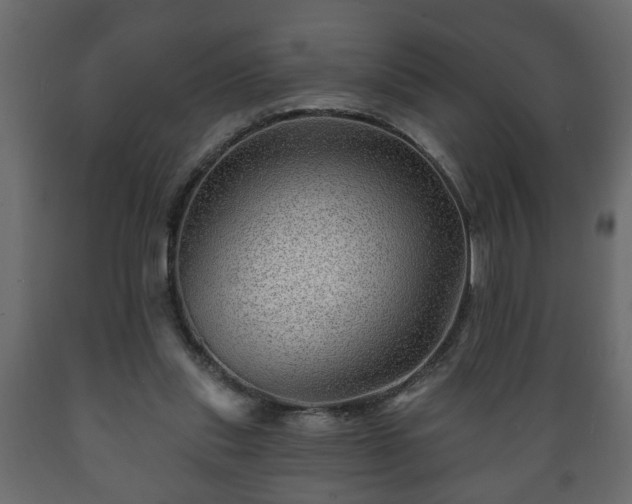 X0000089910253200707061005