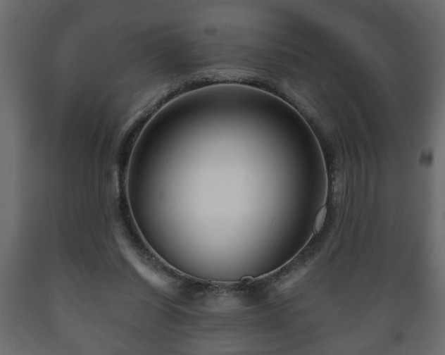 X0000089910254200707061005