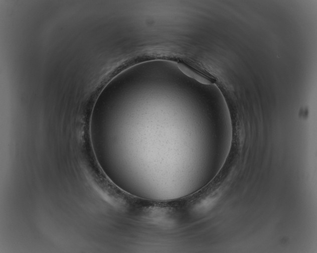 X0000089910255200707061005
