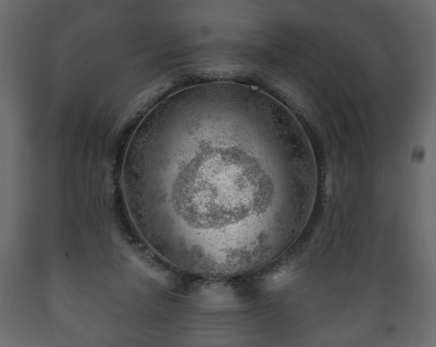X0000089910258200707061005