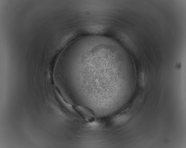 X0000089910259200707061005