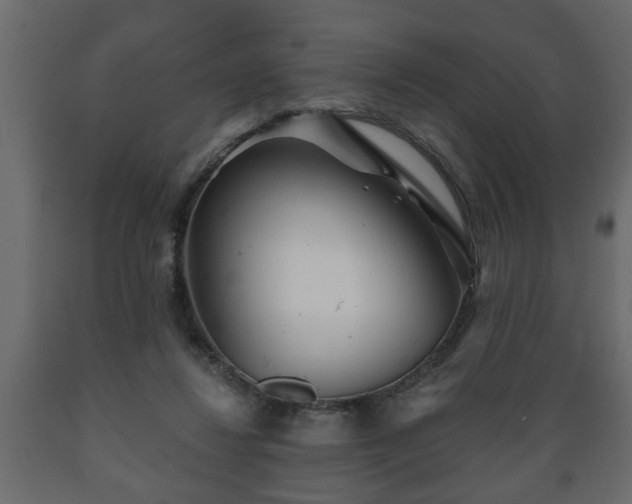 X0000089910260200707061005