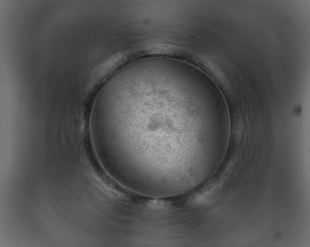 X0000089910261200707061005