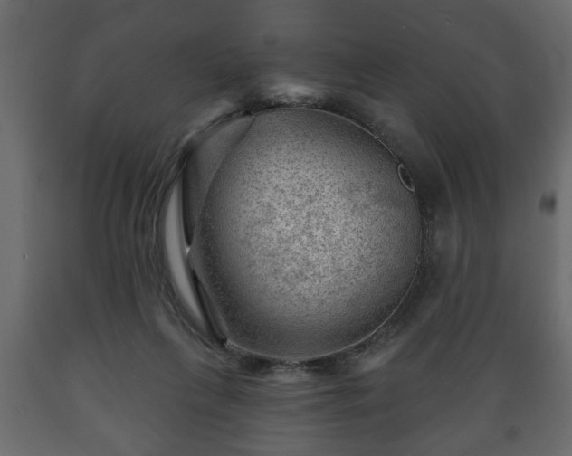 X0000089910263200707061005