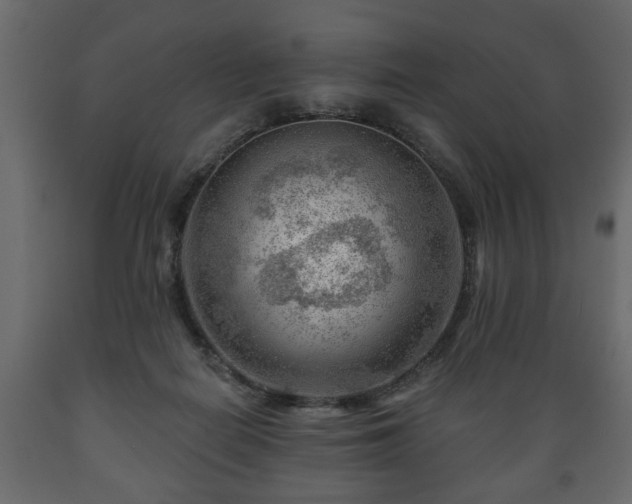 X0000089910266200707061005