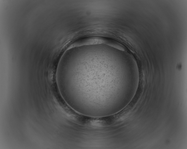 X0000089910268200707061005