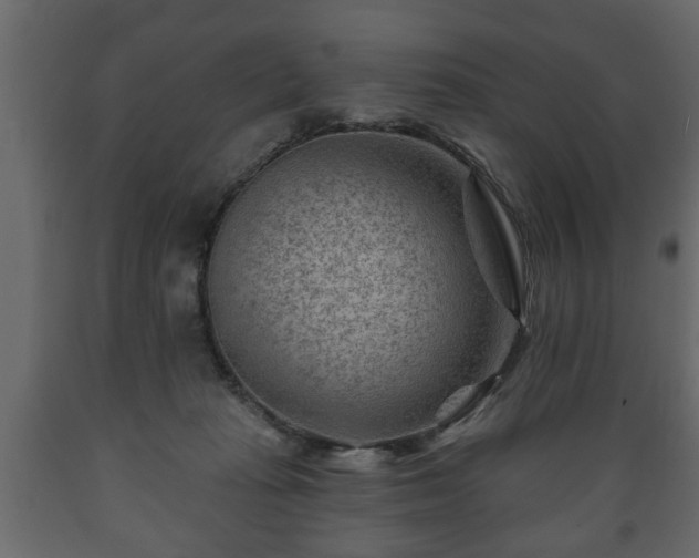 X0000089910269200707061005