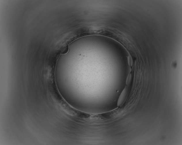 X0000089910270200707061005