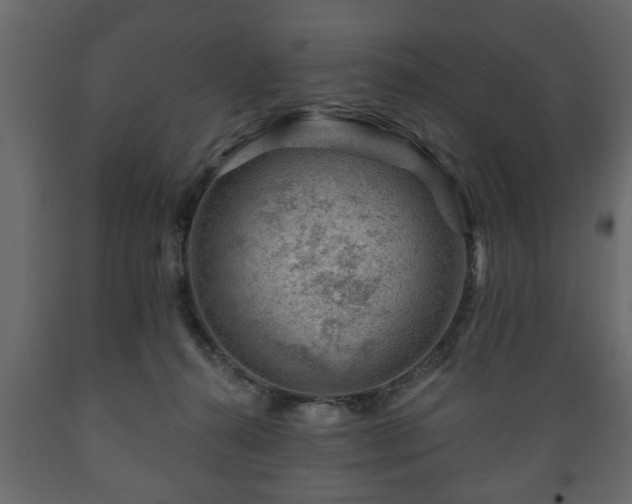X0000089910272200707061005