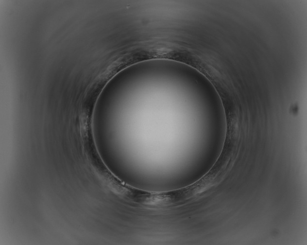 X0000089910274200707061005