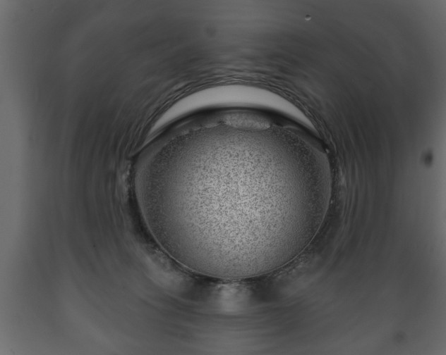 X0000089910275200707061005