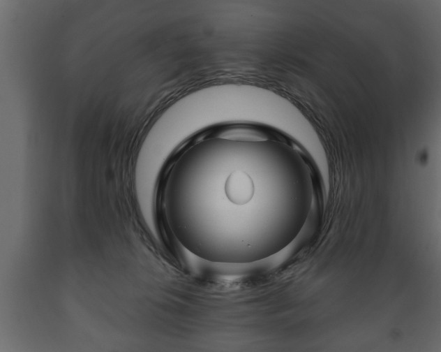 X0000089910276200707061005