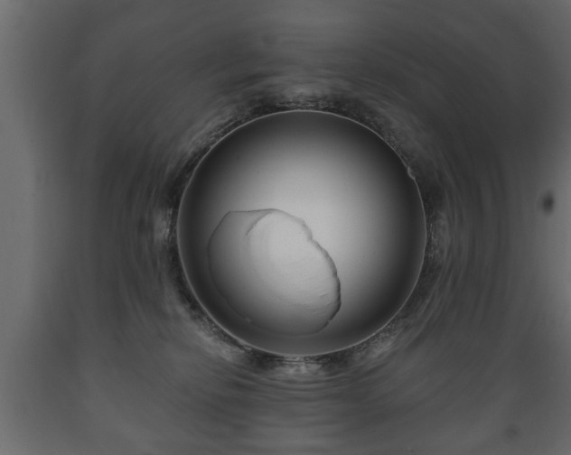 X0000089910278200707061005