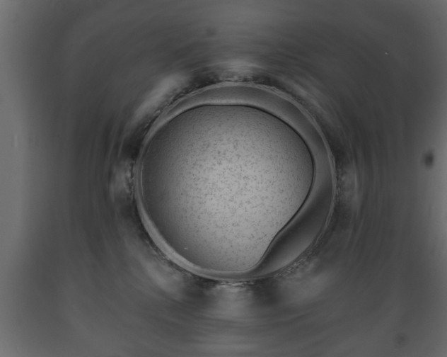 X0000089910280200707061005