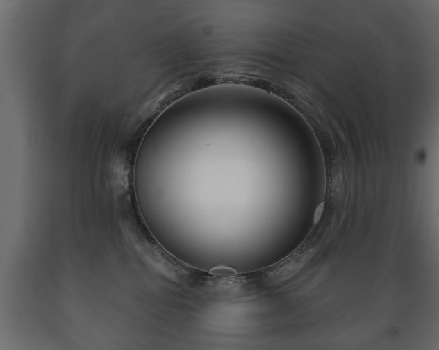 X0000089910282200707061005