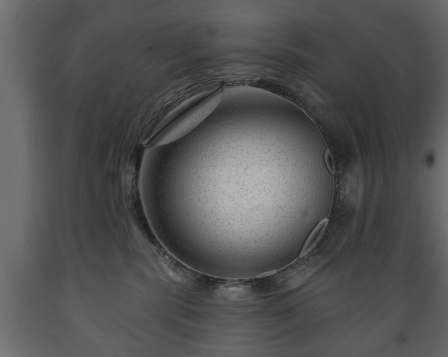 X0000089910283200707061005
