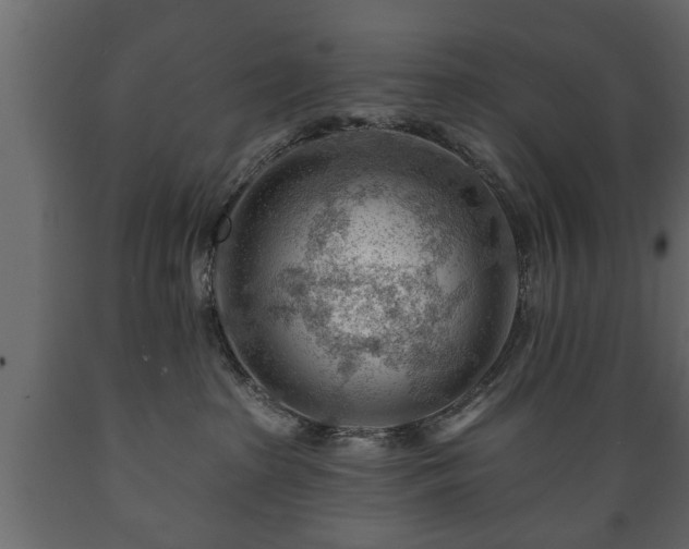 X0000089910285200707061005