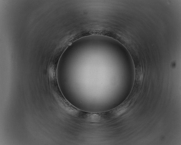 X0000089910287200707061005