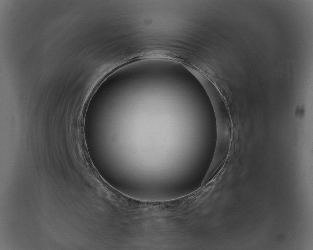 X0000089910289200707061004
