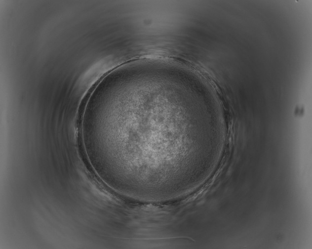 X0000089910290200707061004