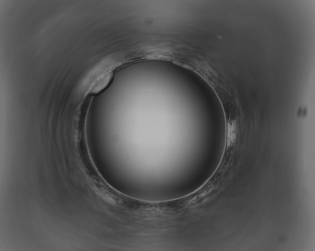 X0000089910291200707061004