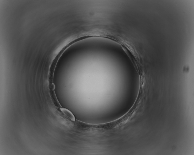 X0000089910292200707061004