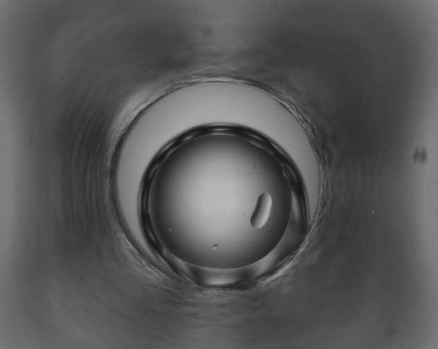 X0000089910293200707061004