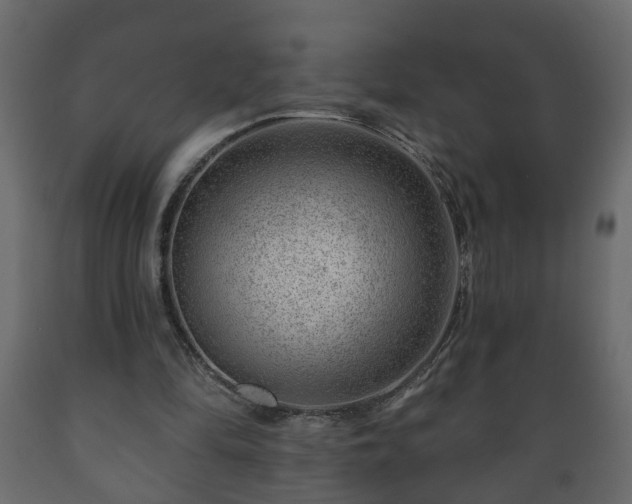 X0000089910294200707061004