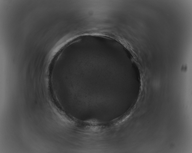 X0000089910295200707061004