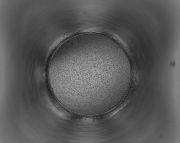 X0000089910298200707061004