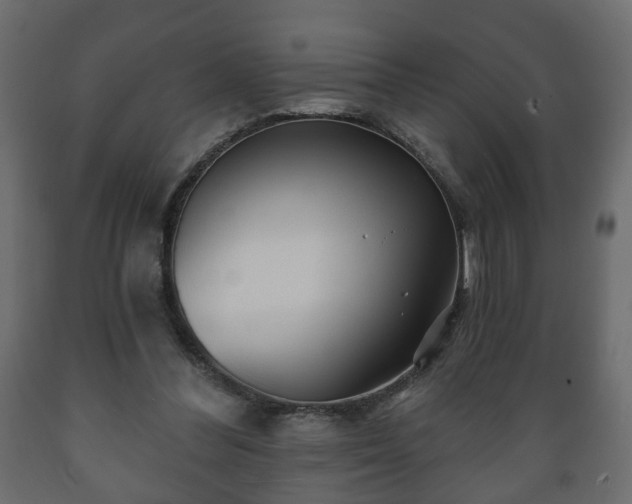 X0000089910300200707061004
