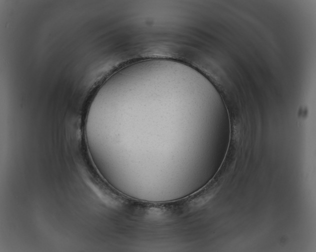 X0000089910302200707061004
