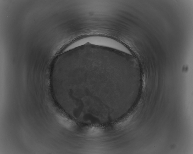 X0000089910303200707061004