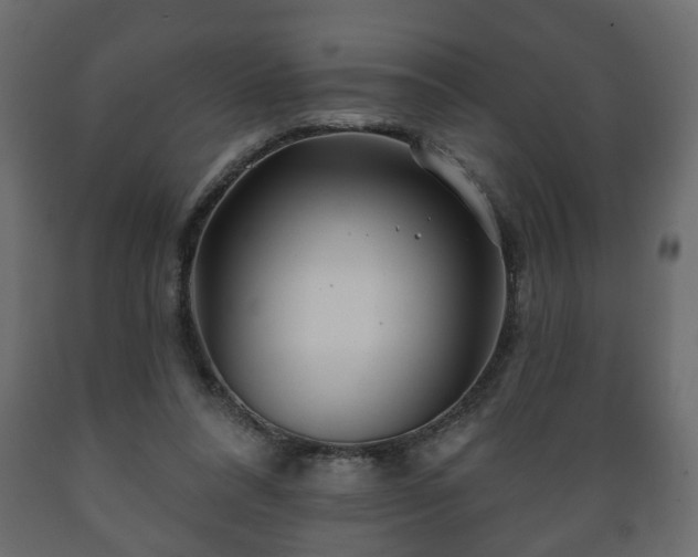 X0000089910304200707061004