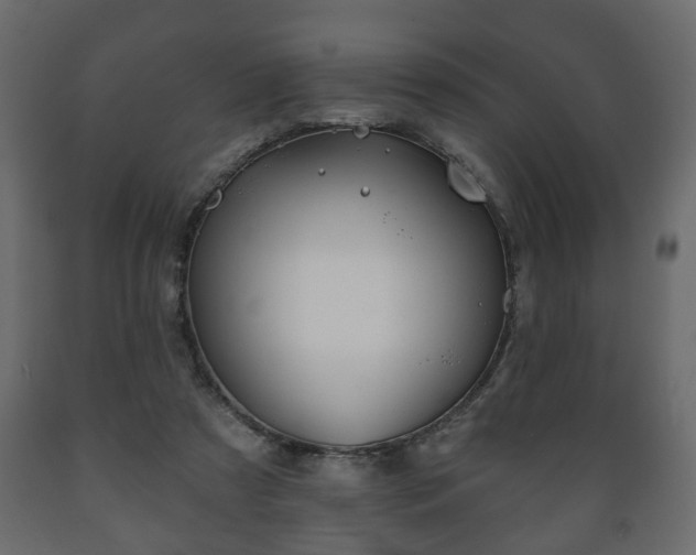 X0000089910305200707061004