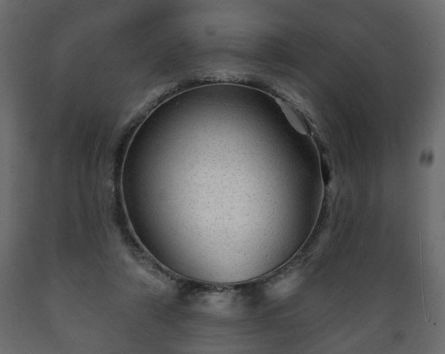 X0000089910306200707061004