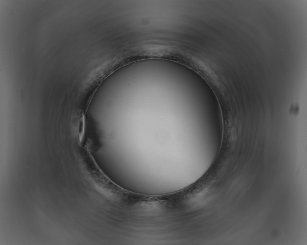 X0000089910307200707061004