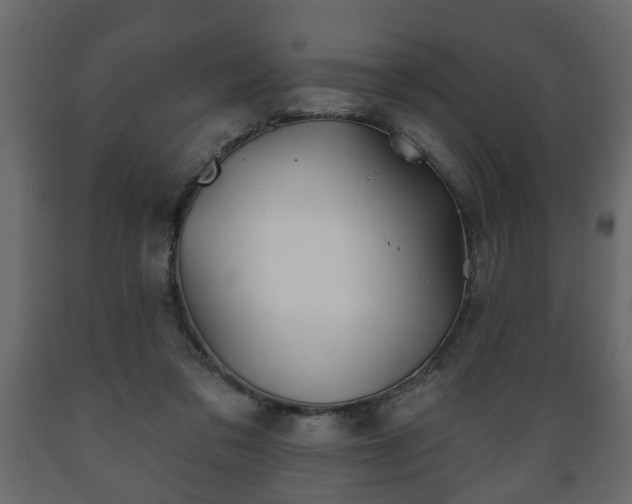 X0000089910309200707061004