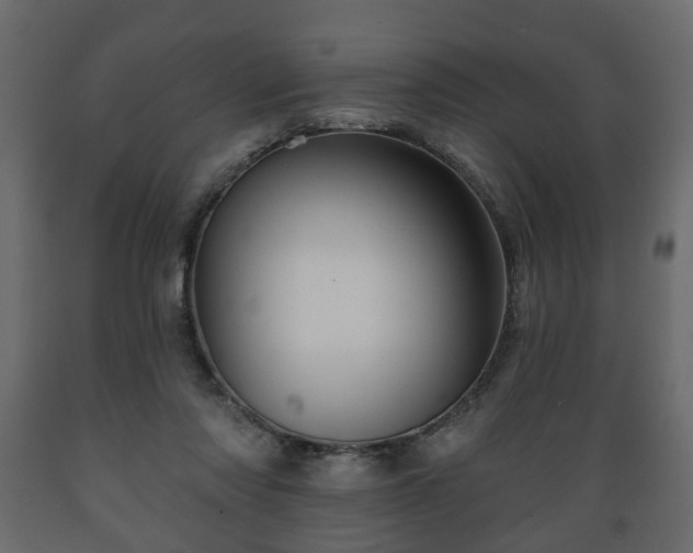 X0000089910310200707061004