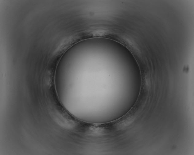 X0000089910311200707061004
