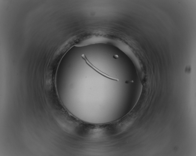 X0000089910312200707061004