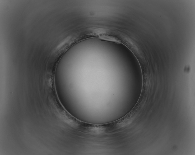 X0000089910313200707061004
