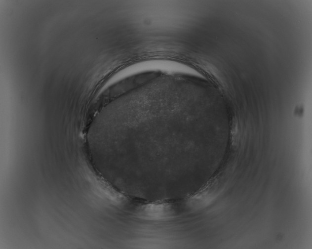 X0000089910314200707061004