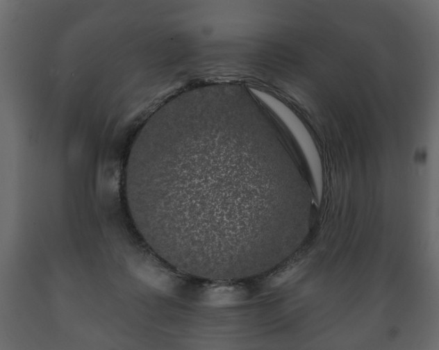 X0000089910315200707061004