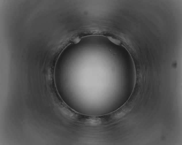 X0000089910317200707061004